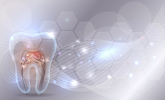 a 3D illustration of a tooth’s interior